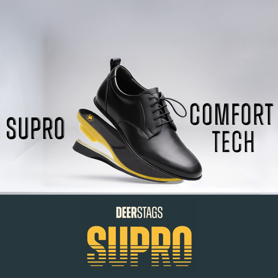 Men's Belmont in Coffee - NEW SUPRO