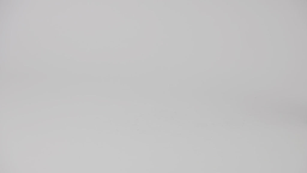 Kids' Ace in Luggage